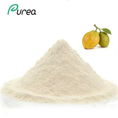 Ovocný prášek Garcinia Cambogia